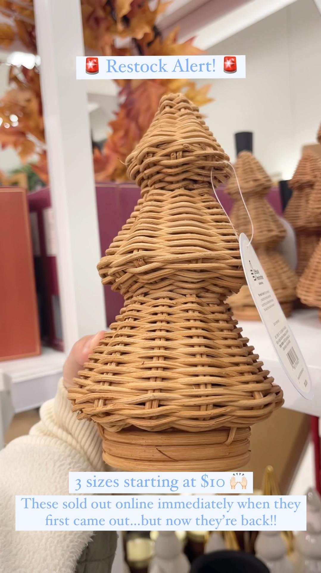 🏃🏼‍♀️🏃🏼‍♀️🏃🏼‍♀️ RESTOCK ALERT!! These sold out IMMEDIATELY when they first came out online, but they’re finally back in stock!! 🙌🏻 A great Serena & Lily wicker tree look for less option starting at just $10! 🤯 I snagged all 3 sizes! 🎄✨

#LTKVideo #LTKFindsUnder50 #LTKHoliday