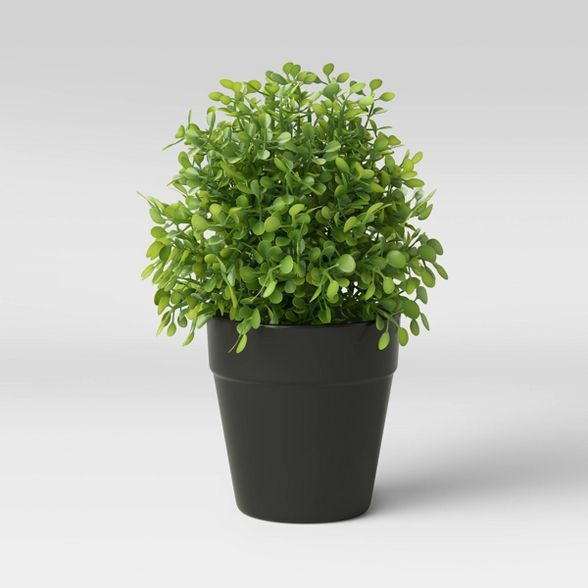 Boxwood Artificial Plant in Black Ceramic Pot - Threshold™ | Target