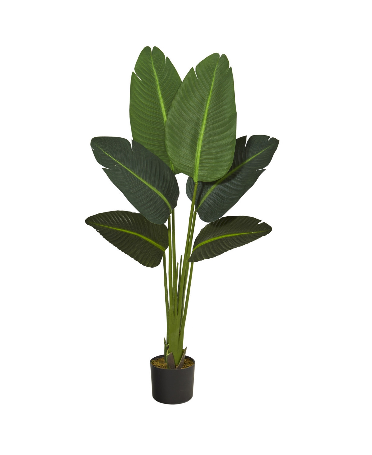 Nearly Natural Travelers Palm Artificial Plant, Real Touch | Macys (US)