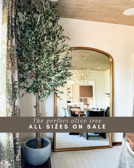 Amazon  deal! This faux olive tree is a personal favorite! I have it in our dining room. All three sizes on sale now ✨

Faux tree, olive tree, faux greenery, faux plant, dining room, entryway, living room, bedroom, office, greenery, tree, Amazon sale, sale finds, sale alert, sale, Modern home decor, traditional home decor, budget friendly home decor, Interior design, look for less, designer inspired, Amazon, Amazon home, Amazon must haves, Amazon finds, amazon favorites, Amazon home decor #amazon #amazonhome




#LTKhome #LTKsalealert #LTKfindsunder100