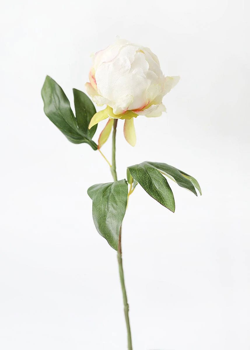 Artificial Flower Peony Bud in Cream - 18" | Afloral