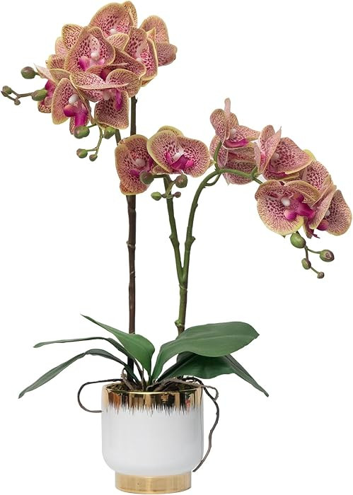 CXGS Orchids Artificial Flowers Real Touch Fake Flowers in Ceramic Pot 20" Purple Dapple Faux Orc... | Amazon (US)