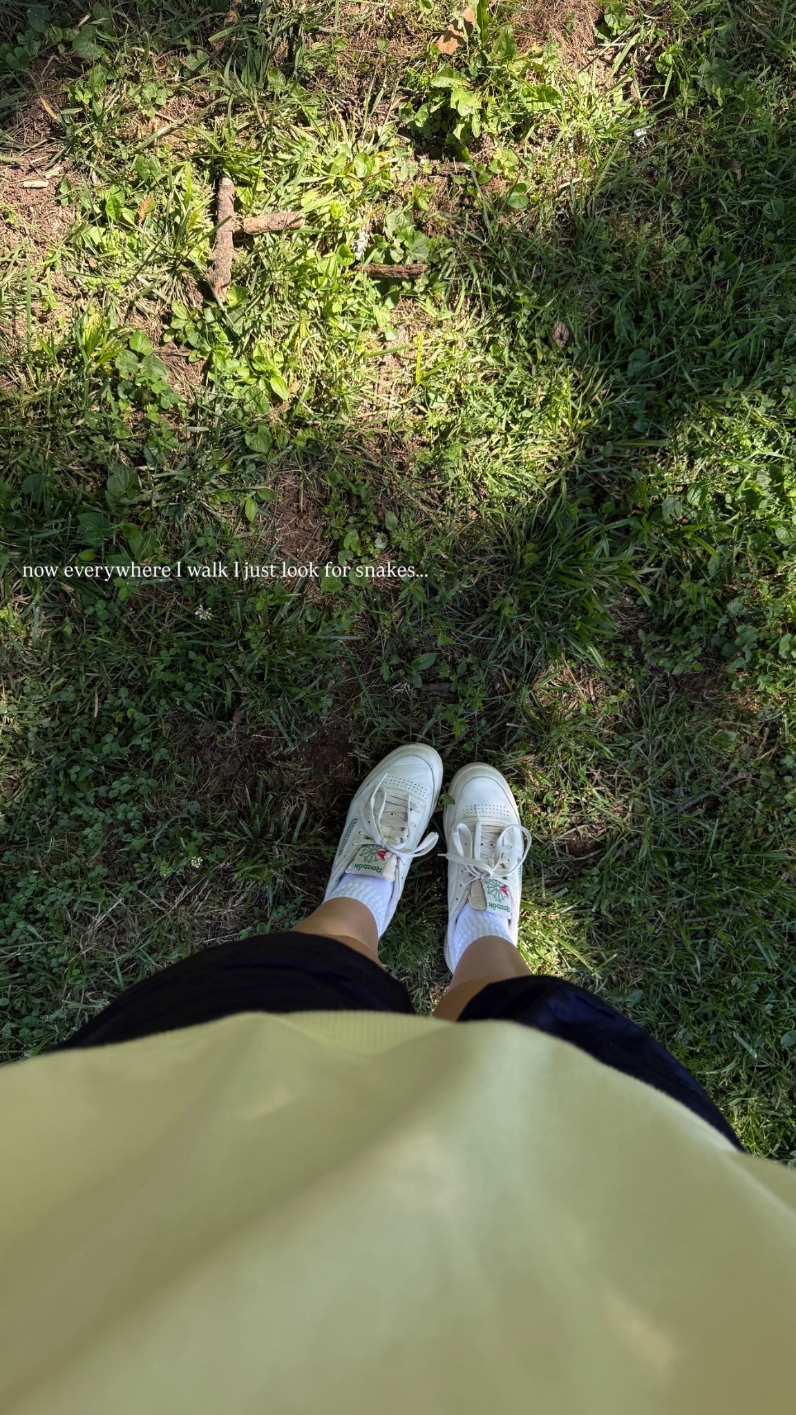 my go to summer sneaker 🌼

#LTKootd #LTKSeasonal #LTKgrwm
