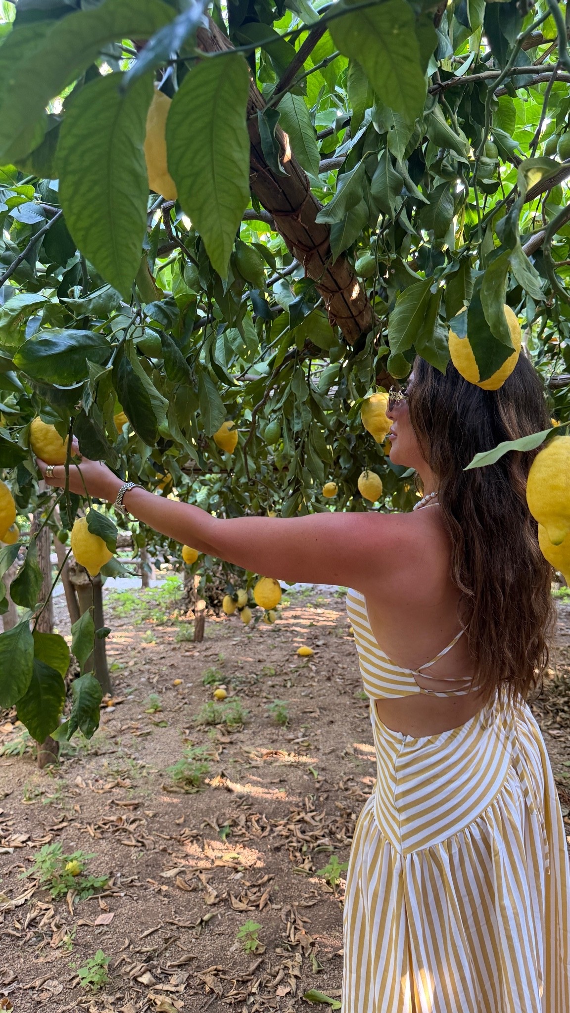 Lemon farm. Code LHS15. Med. 

Euro outfit. Yellow maxi dress.

#LTKSeasonal #LTKSaleAlert #LTKootd