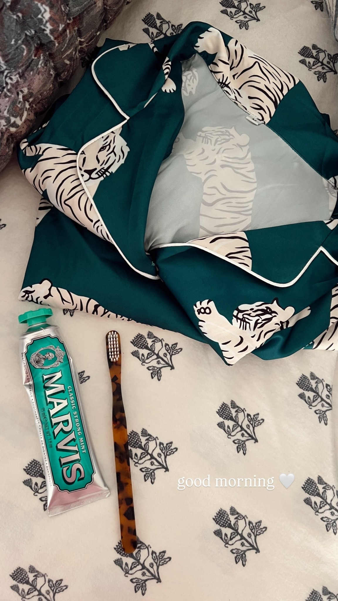 morning routine ❤️ love this toothbrush and toothpaste!

#LTKdayinmylife #LTKHome #LTKmorningroutine