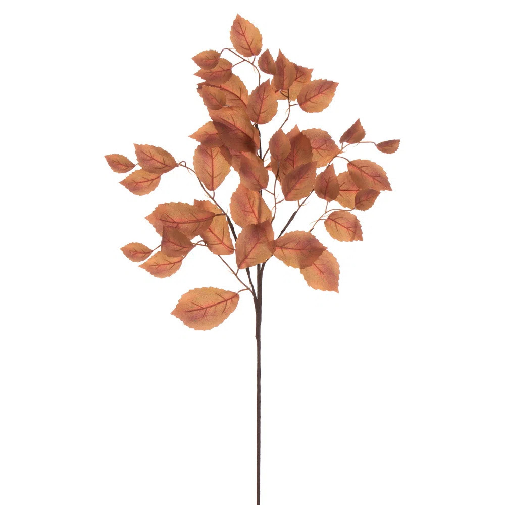 Primrue | Wayfair North America