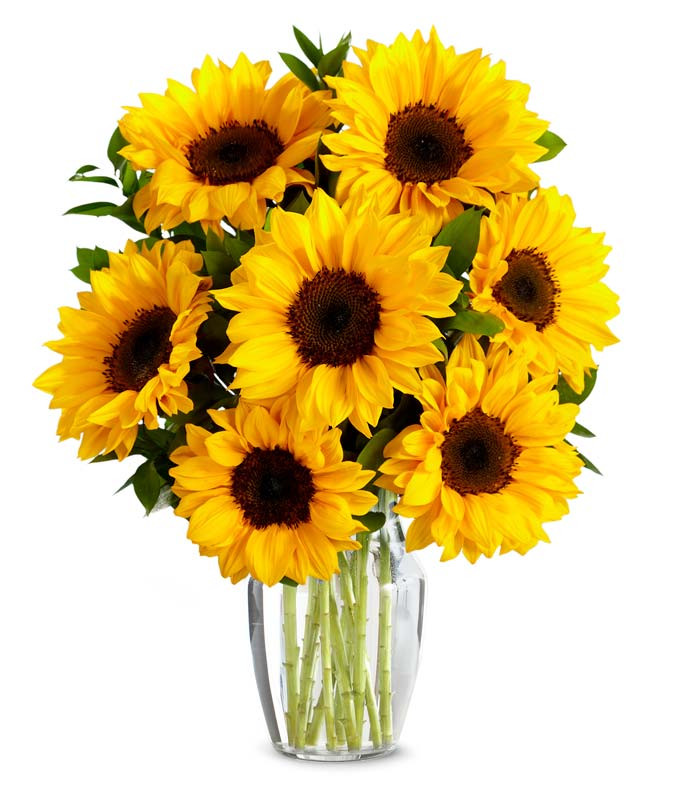 Stunning Sunflowers | From You Flowers