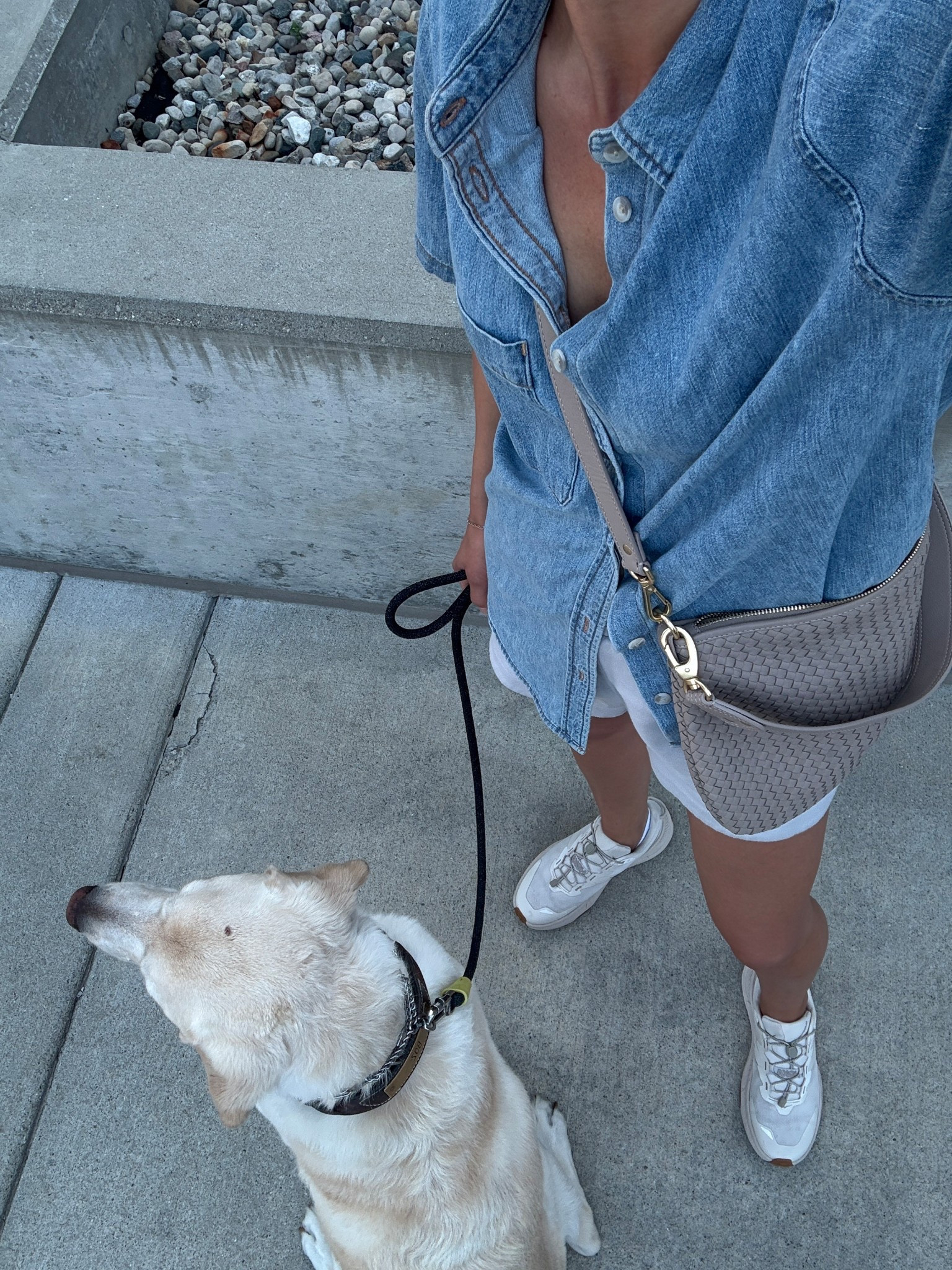 Small shorts, small denim shirt, sneakers tts

#LTKStyleTip #LTKFindsUnder100 #LTKOver40