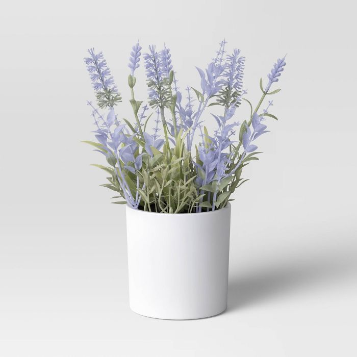 Lavender Plant - Threshold&#8482; | Target