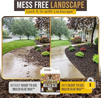 PetraMax Lockscape Mulch Glue for Landscaping, 1 Gallon (Made in USA) - Pet-Safe Landscape Adhesi... | Amazon (US)
