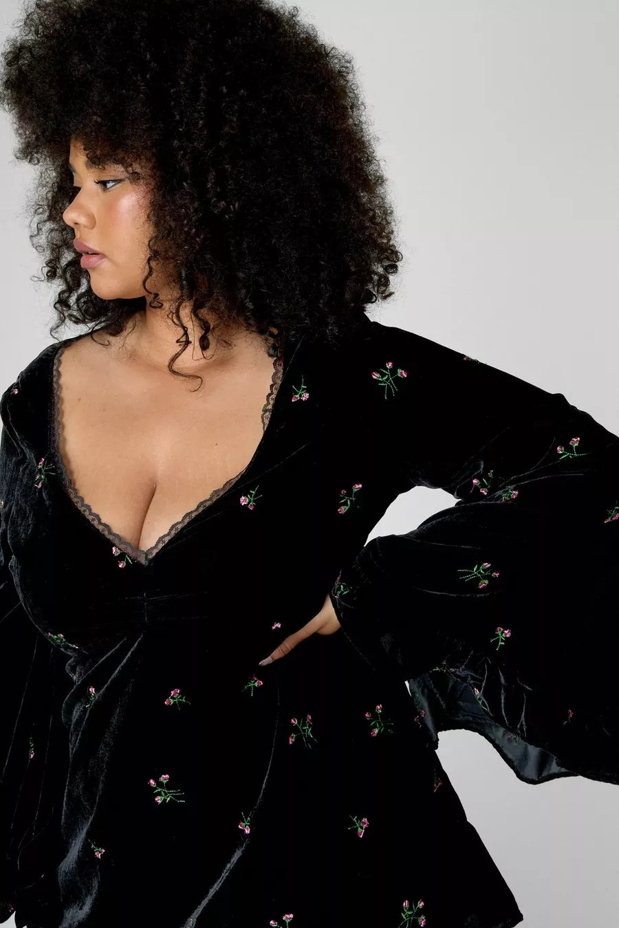 Plus Velvet Floral Embroidered Ruffle Lace Trim Mini Dress | Nasty Gal US