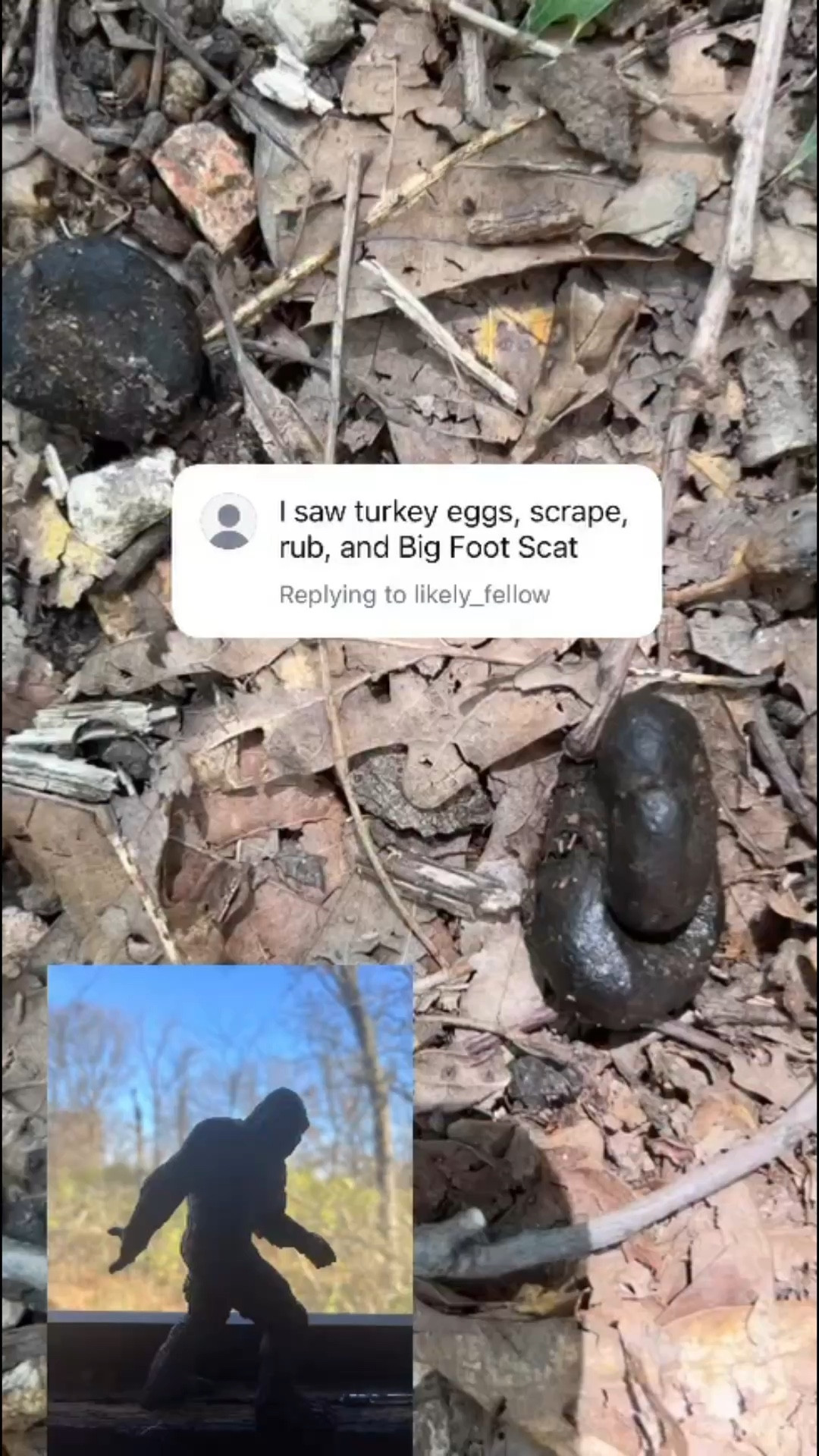 🚨 Calling all Sasquatch Scat Identification Professionals

#yourfavoriteinfluencerinthewild #bigfoot #isthissatire

#LTKActive #LTKOver40 #LTKTall