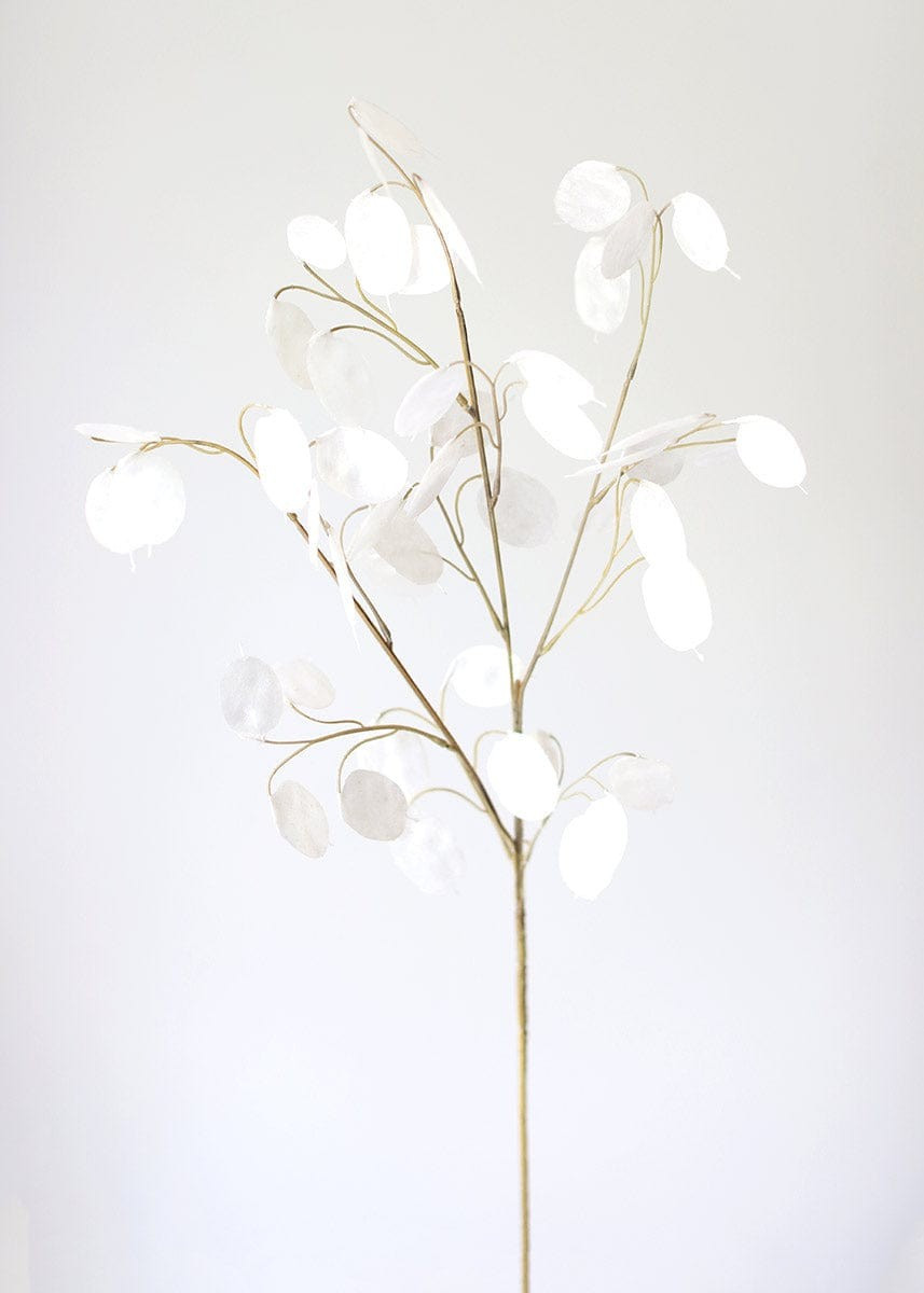 Faux Lunaria Silver Dollar Lunaria  - 29 | Afloral