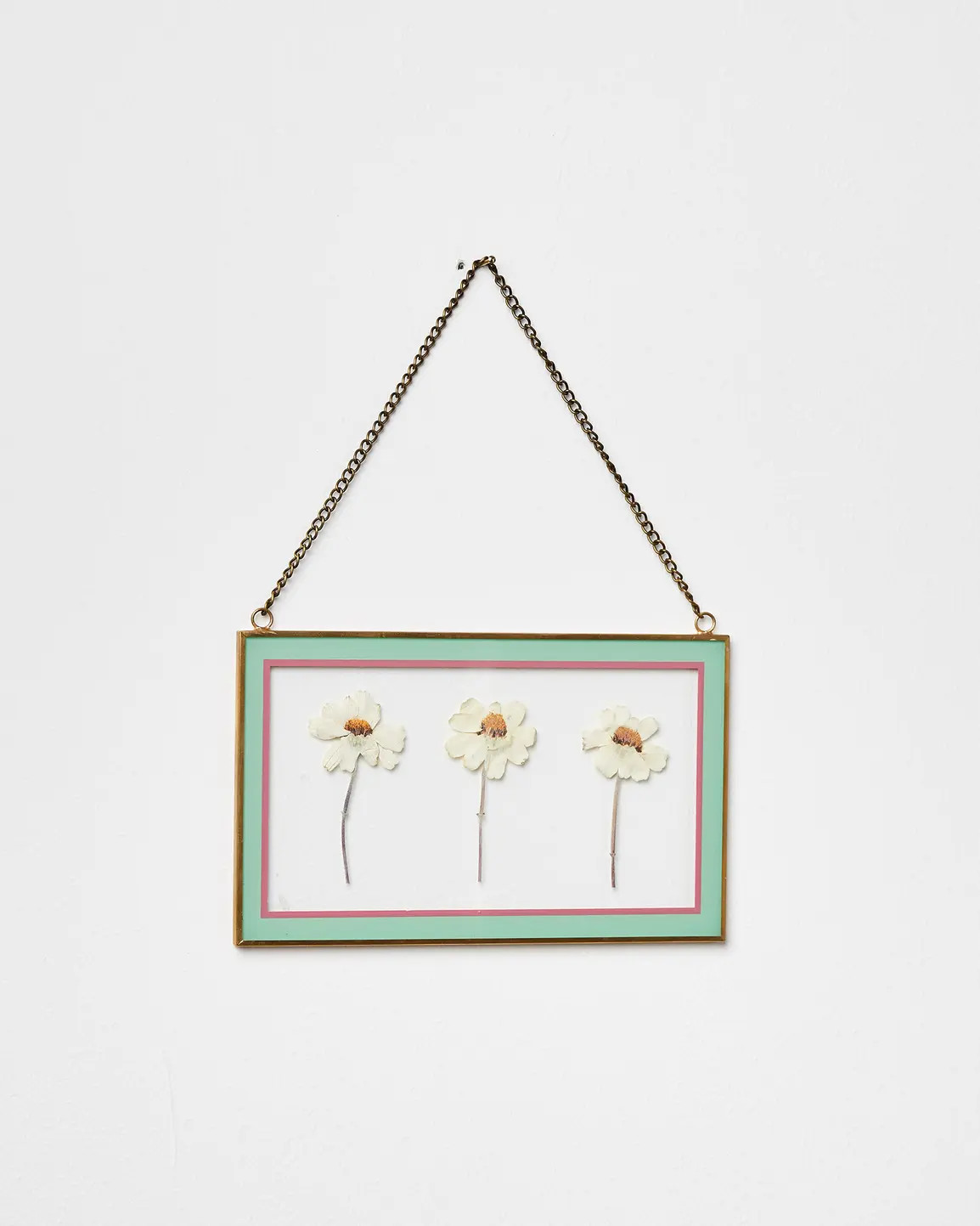 Dried Flower Green Glass Wall Hanging | Oliver Bonas (Global)