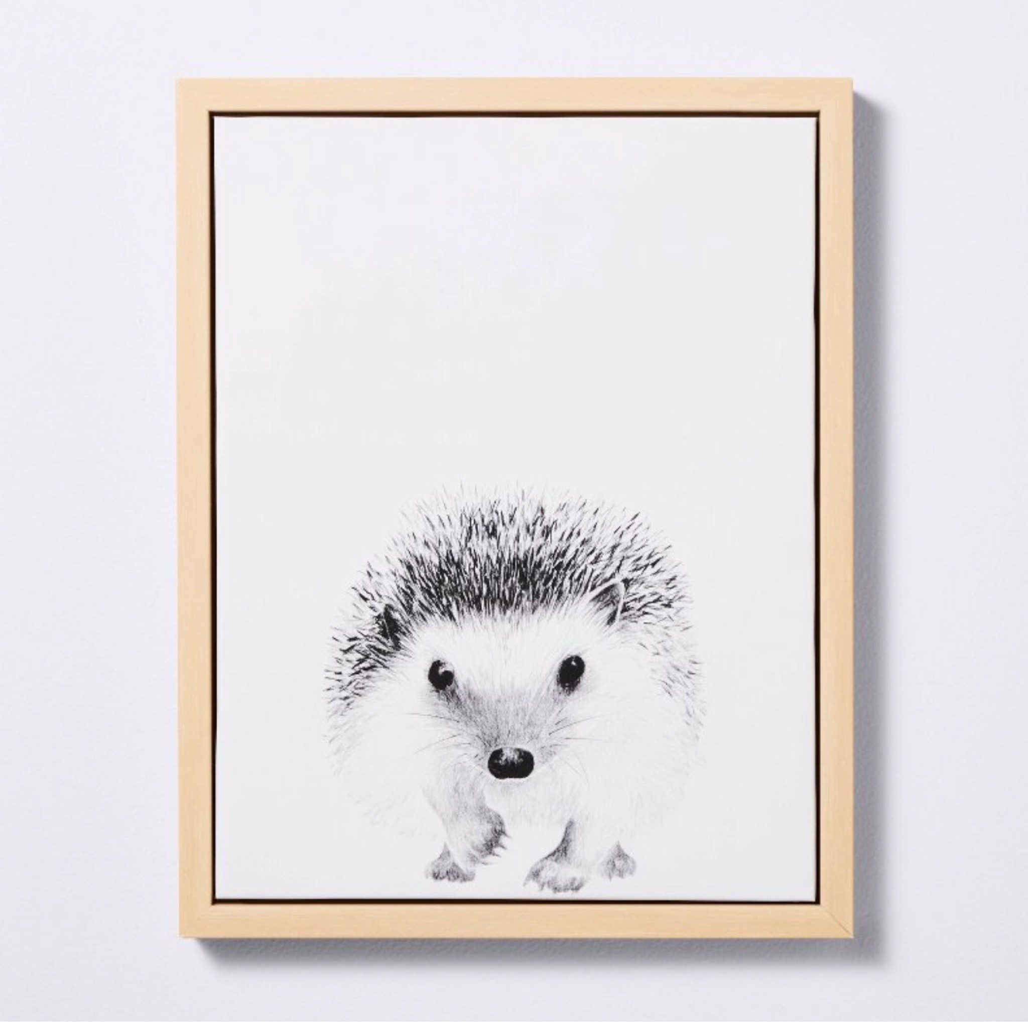 Frames hedgehog nursery decor