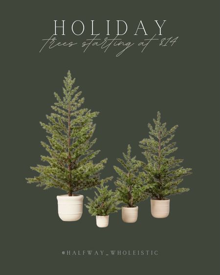 This year’s version of these mini pine trees are sooo cute! And they start at just $14 🙌🏼 perfect for porches, kids rooms, or any corner of your home!
