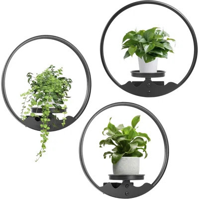 3 Pack Round Metal Wall Hanging Planter Picture Frame For Indoor Outdoor Garden Decoration, Vertical Plant Holder With Shelf For Space Saving Display | Wayfair North America
