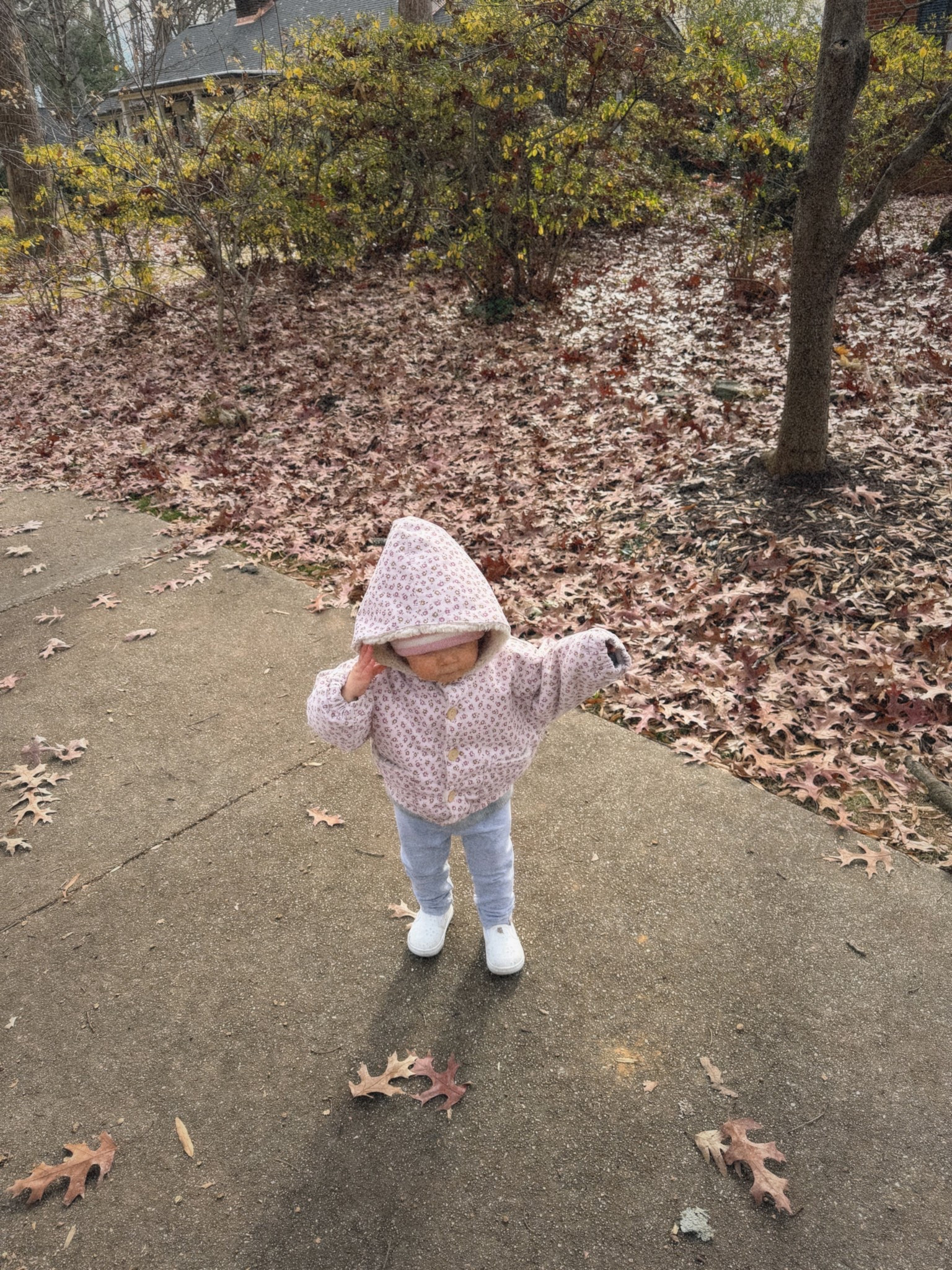 #LTKautumn 

#LTKcriancas #LTKbaby
