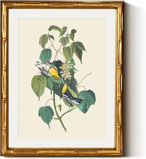 InSimSea Gold Bamboo Framed Canvas Wall Art, Vintage Bird Botanical Paintings, Antique Flowers Pi... | Amazon (US)