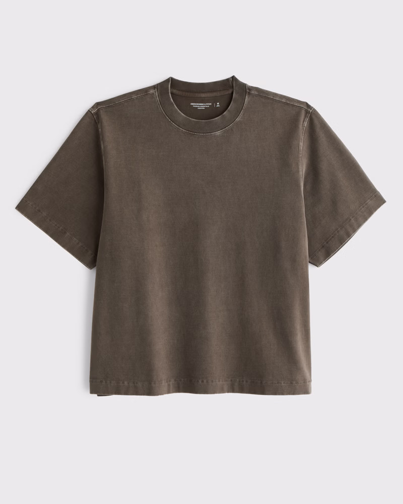 Premium Heavyweight Cropped Tee | Abercrombie & Fitch (UK)