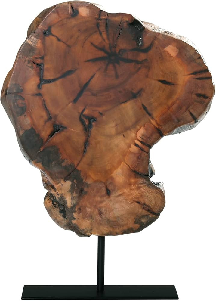 WELLAND Irregular Date Tree Sculpture, Wood Tabletop Sculpture Collectible Decoration Gift for Ho... | Amazon (US)