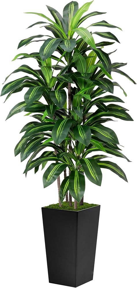 Artificial Dracaena Tree 5FT - Fake Tree with Black Tall Planter - Faux Yucca Tall Fake Floor Pla... | Amazon (US)