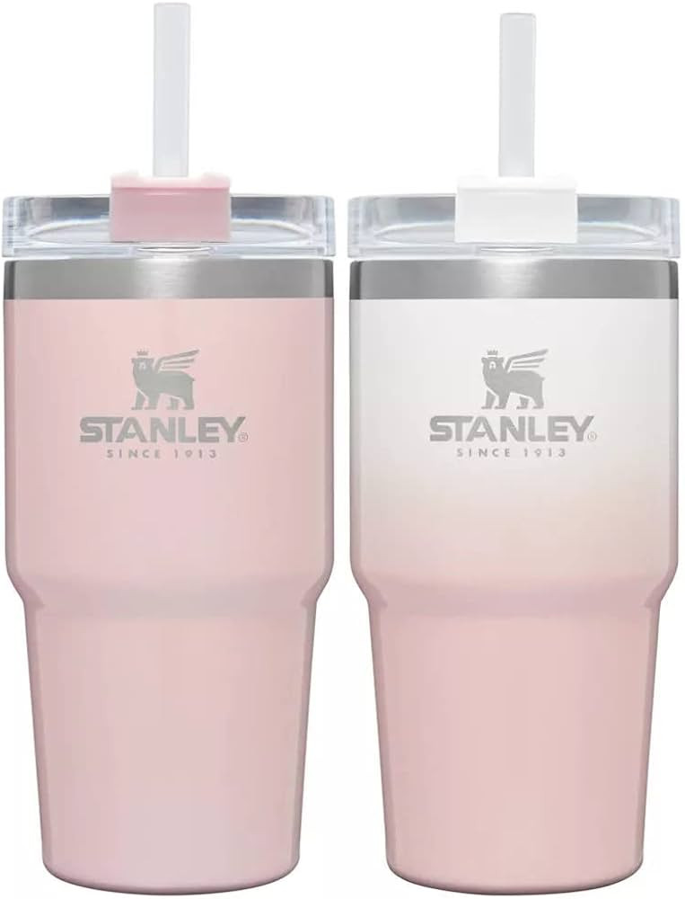 Stanley Adventure 20oz Stainless Steel 2pk Quencher Tumblers | Limited Edition (Parfait Ombre/Par... | Amazon (US)