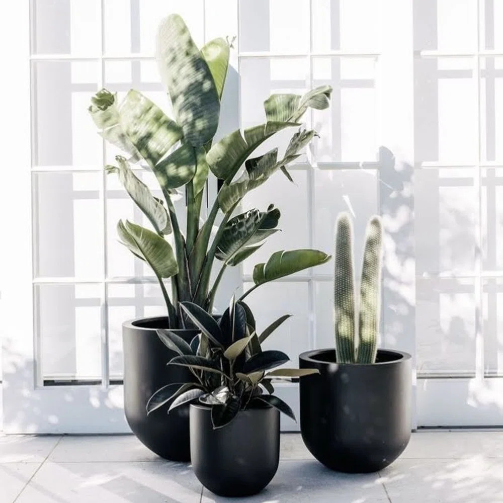 Dorlis Handmade Pot Planter | Wayfair North America