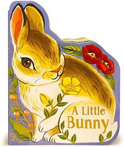A Little Bunny - Children's Animal Shaped Board Book, Ages 1-5 | Amazon (US)