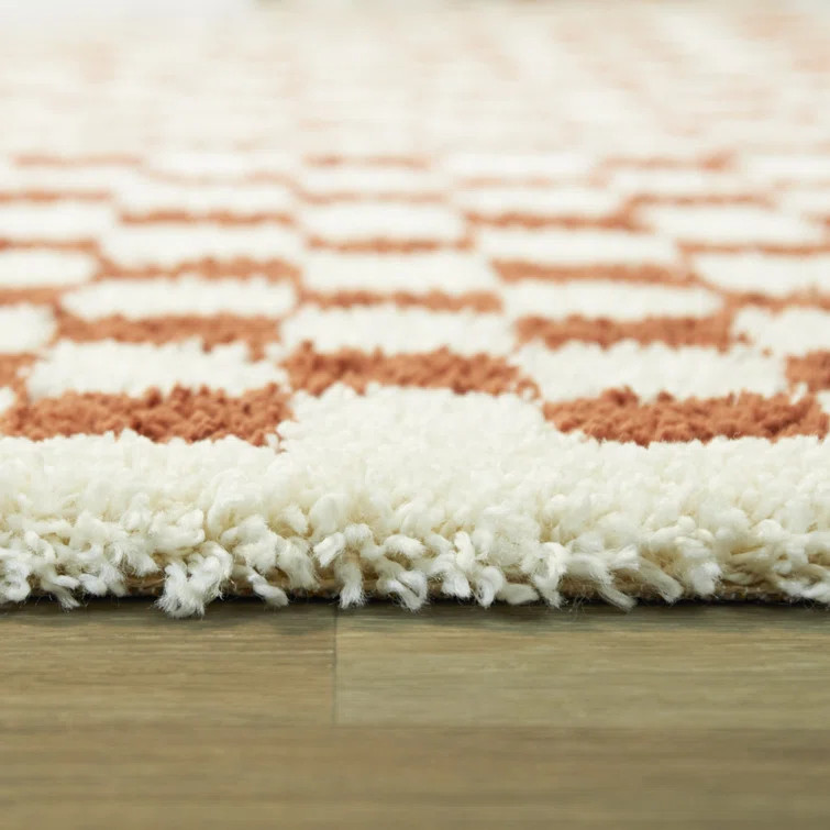 Walker Checkered Burnt Orange/Cream Shag Area Rug | Wayfair North America