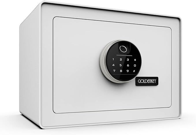 Digital Security Safe and Lock Box,Small Safe box for Money, Fingerprint Lock,Perfect for Home Of... | Amazon (US)