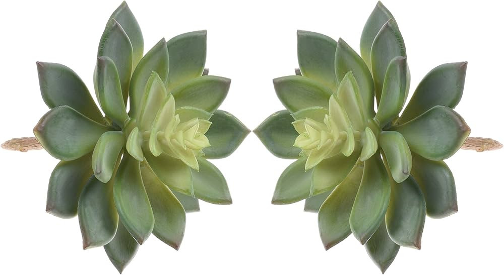 BCP Pack of 2 Realistic Cute Green Home Garden Artificial Plastic Snowdrop Echeverias Succulent P... | Amazon (US)