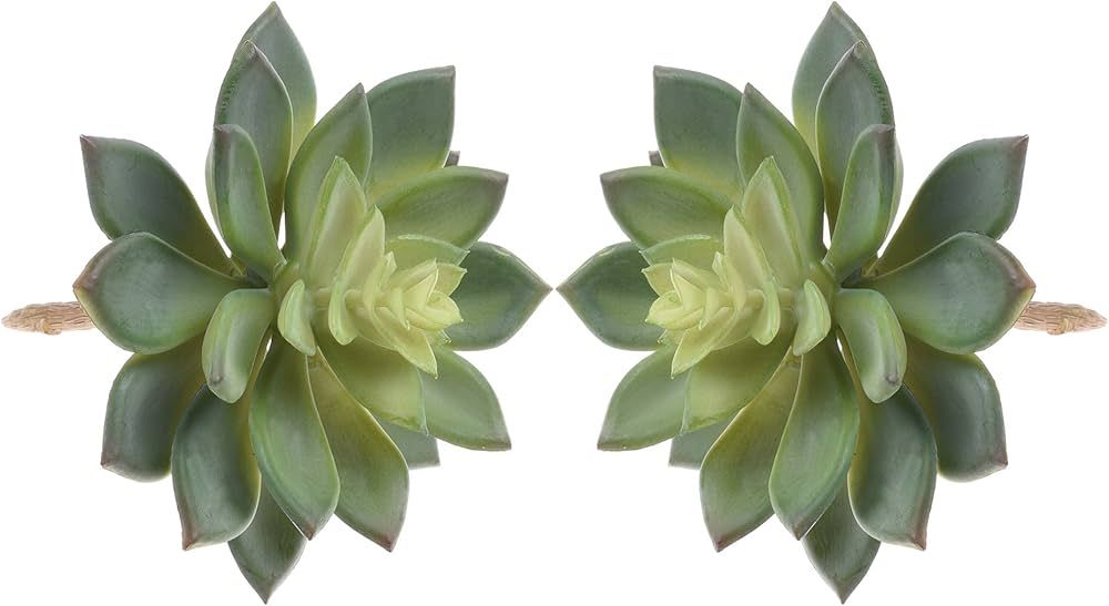 BCP Pack of 2 Realistic Cute Green Home Garden Artificial Plastic Snowdrop Echeverias Succulent P... | Amazon (US)
