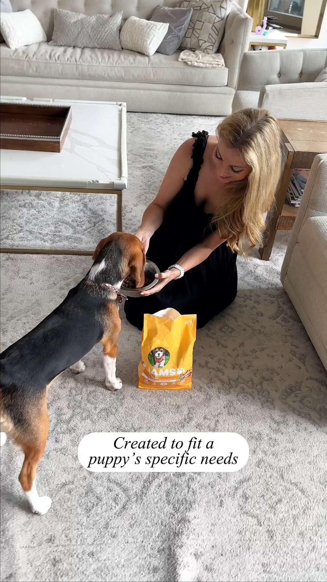 Give your dog a meal that fuels their best life! 🐕 IAMS ProActive Health Dry Dog Food with Real Chicken is a total game-changer for maintaining consistent energy and health. Great gift ideas for a "new dog" welcome basket, a neighborhood pet supply drive, or for the friend who values a classic, trusted brand for their furry family member 🍗 #IAMS #DogNutrition #HealthyPup #PetWellness #PetEssentials  

#LTKmomlife #LTKHome