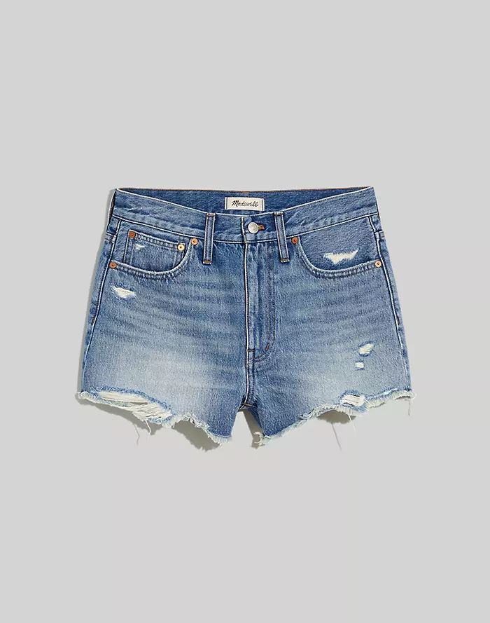 Relaxed Denim Shorts in Renfield Wash: Destructed Edition | Madewell