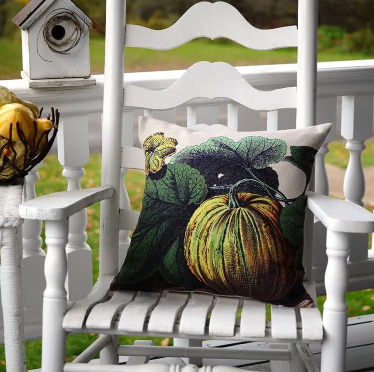 Golden Hill Studio Pillow Cover & Reviews | Wayfair | Wayfair North America