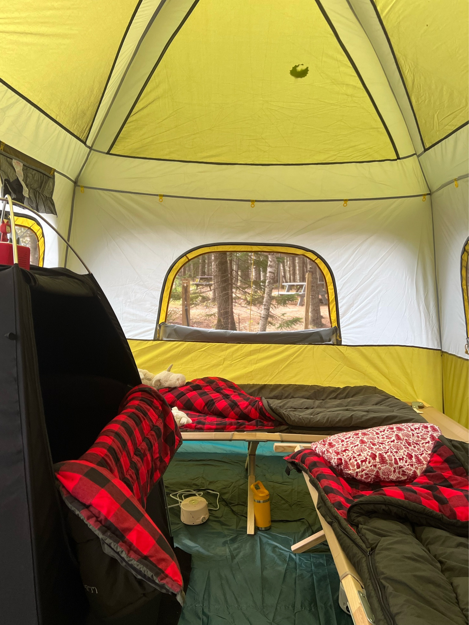 My tent set up from last year with the blackout packnplay tent 🏕️ 

#LTKbaby