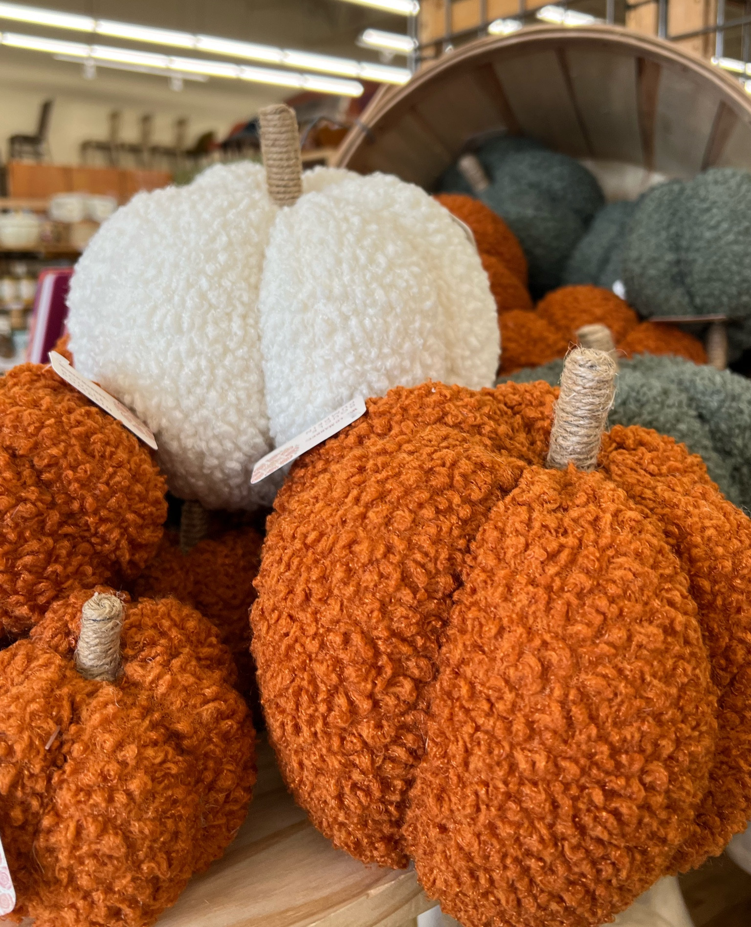 Boucle pumpkin, pumpkin decor, fall decor, fall home, neutral decor, home decor, pumpkin pillow 



#worldmarket 

#LTKSeasonal #LTKHome