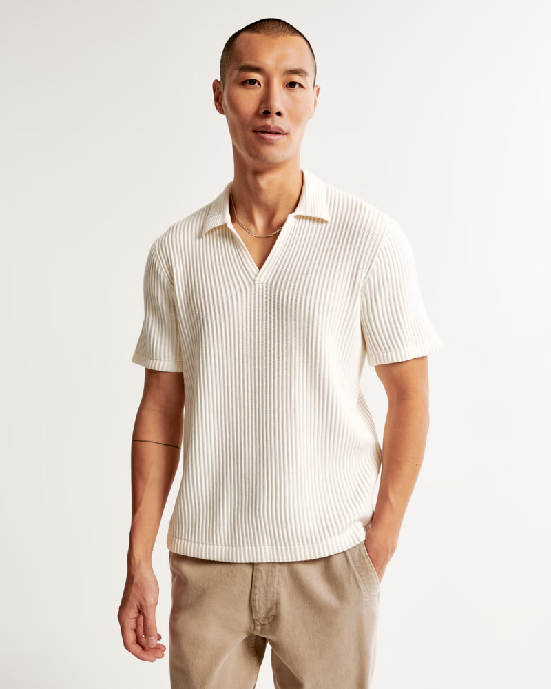 Plisse Johnny Collar Sweater Polo | Abercrombie & Fitch (US)