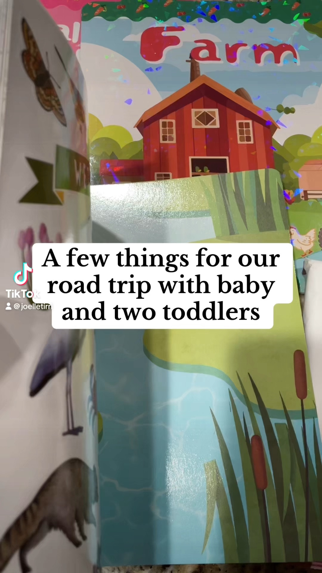 Some things I grabbed on Amazon for our roadtrip with a baby and two toddlers. Sticker books, breast pump wipes, drawing tablet, toddler travel activities. 

#LTKTravel #LTKKids #LTKCyberWeek