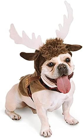 Joedot Sven Pet Costume – Frozen | Amazon (US)
