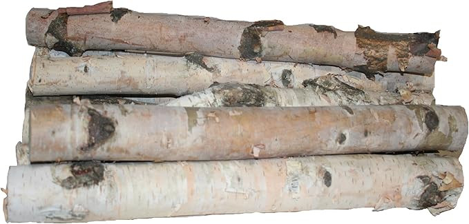 Wilson Enterprises Northern White Birch Logs, Set of 8 | Amazon (US)