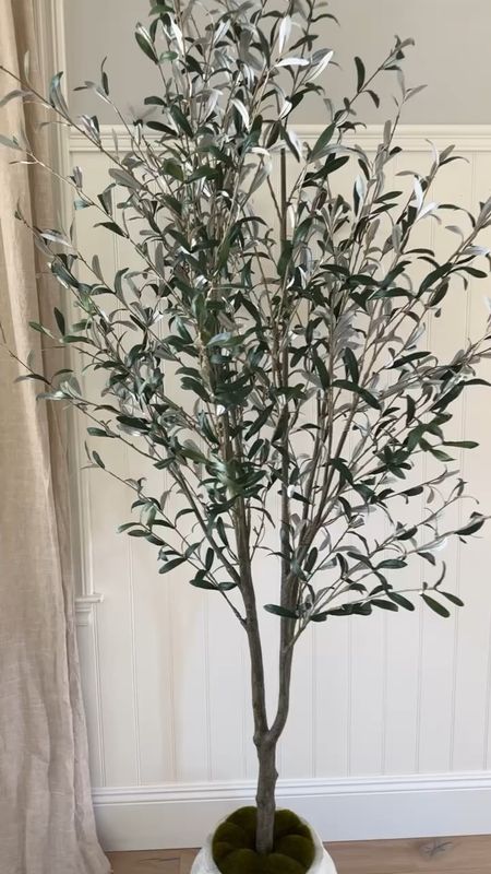 Olive tree from target! I rate the leafs a 7.5 out of 10, I definitely feel like they can be a little more realistic but for the price it’s great! #StylinAylinHome #Aylin

#LTKFindsUnder100 #LTKHome