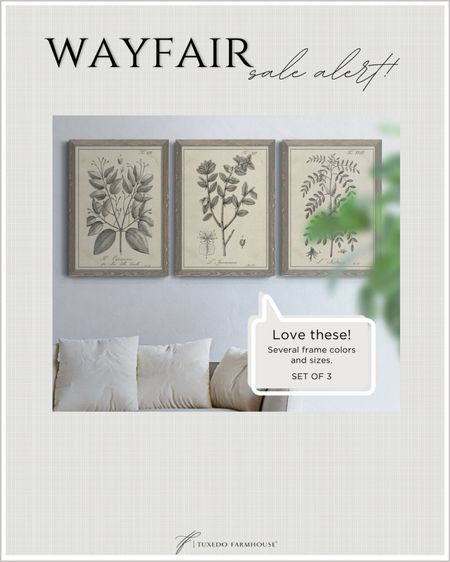 These botanical prints come in multiple sizes and several frame colors. Currently on sale!

Home decor, spring decor

#LTKhome #LTKsalealert #LTKSeasonal