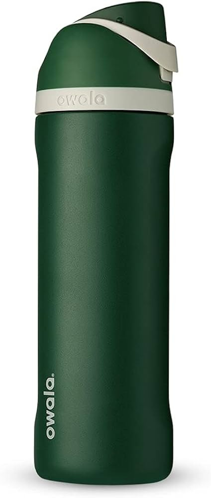 Owala Harry Potter FreeSip Insulated Stainless Steel Water Bottle with Straw, BPA-Free Sports Wat... | Amazon (US)
