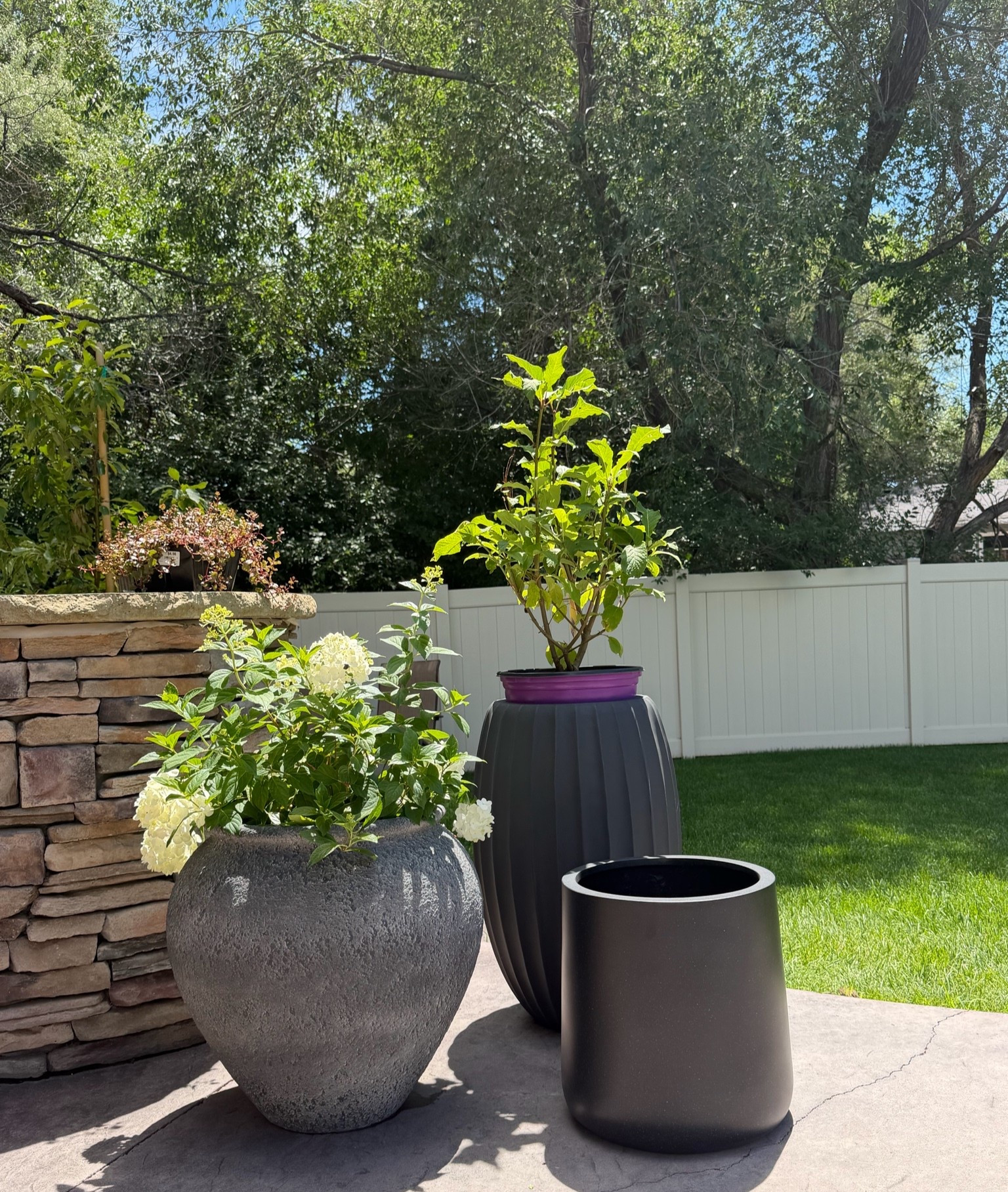 Concrete planters 🪴 waiting for the rest of show up!

#LTKSeasonal #LTKHome