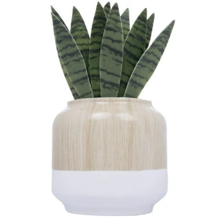 Better Homes & Gardens Fragrance Oil Diffuser Snake Plant | Walmart (US)