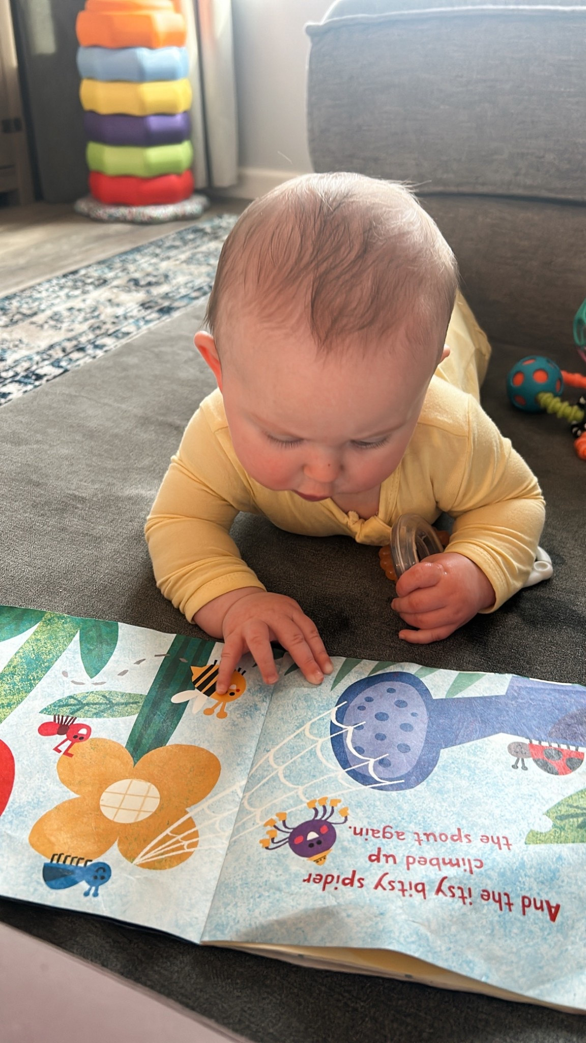 The best books for babies! Rip and chew proof 👏🏼

#LTKmomlife #LTKBaby