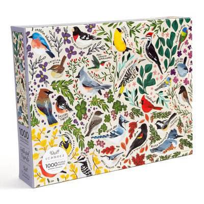 1canoe2 Jigsaw Puzzle Feathered Friends Birds - 1000pc | Target
