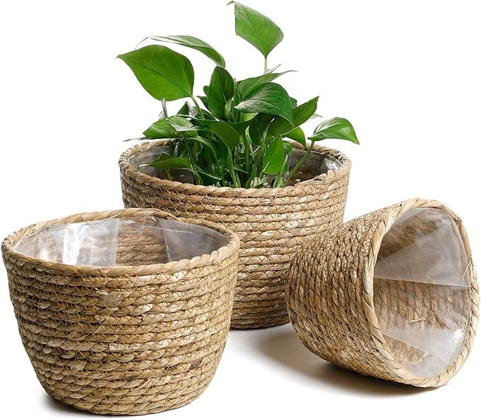 POTEY 740101 Seagrass Planter Basket - Set of 3 Hand Woven Basket Indoor Outdoor Storage Flower P... | Amazon (US)